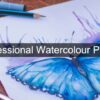 Professional Watercolour Paints
