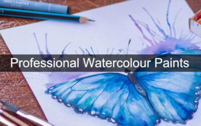 Professional Watercolour Paints UK