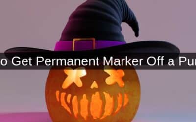 How to Get Permanent Marker Off a Pumpkin
